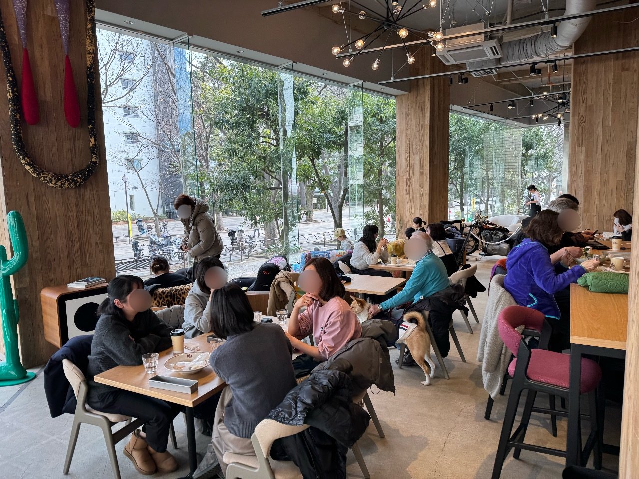 マジックハウス馬事公苑店